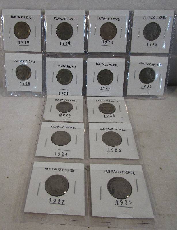 lot 15 image: 14-Buffalo Nickels