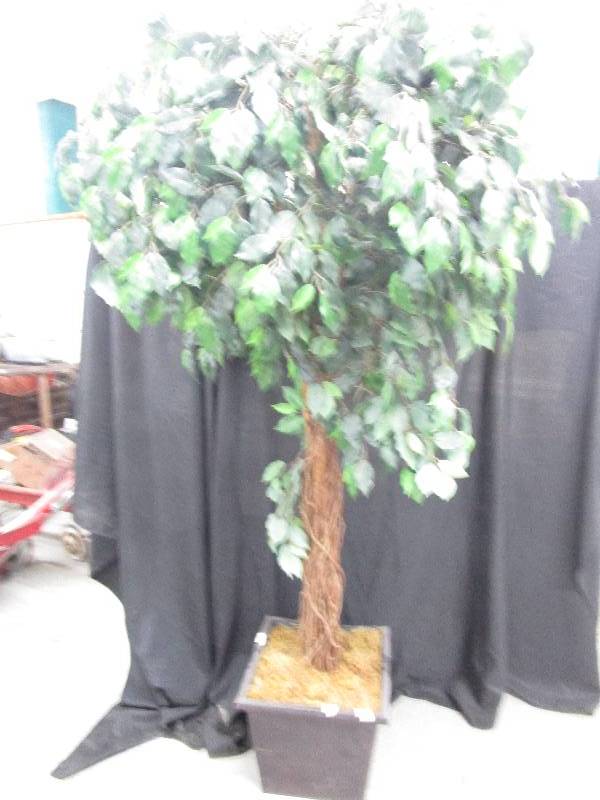 lot 41 image: Decorative Tree 78 High
