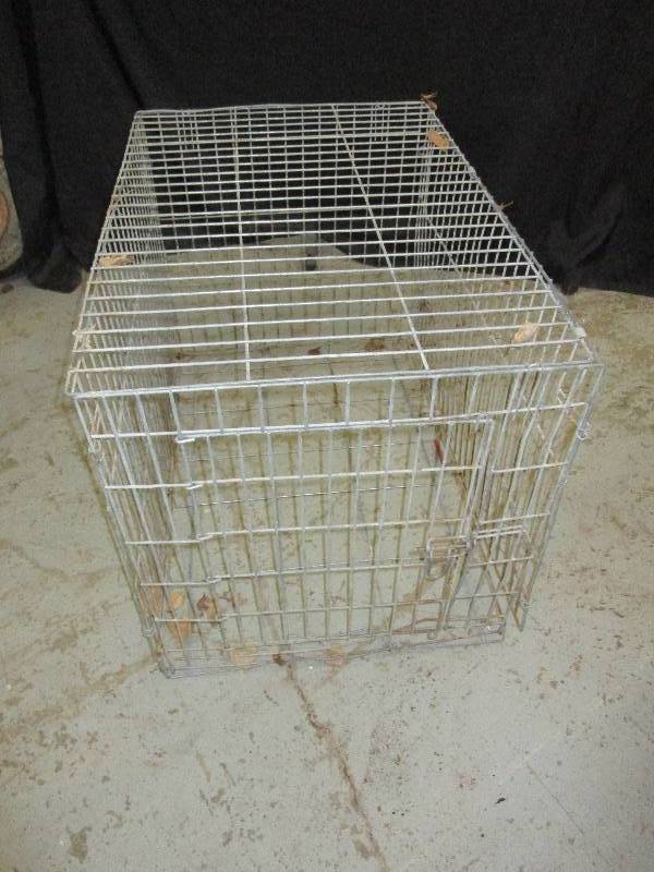 lot 105 image: X Large Dog Cage