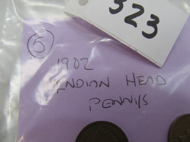 lot 323 image: 1902 Indianhead Pennies