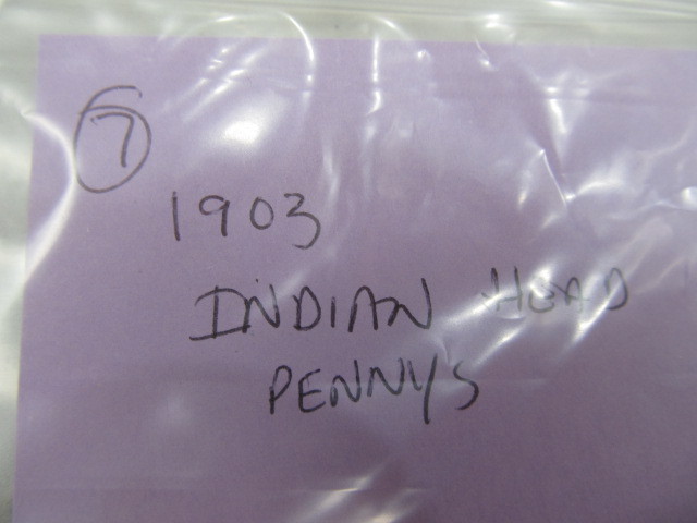lot 326 image: 1903 Indianhead Pennies