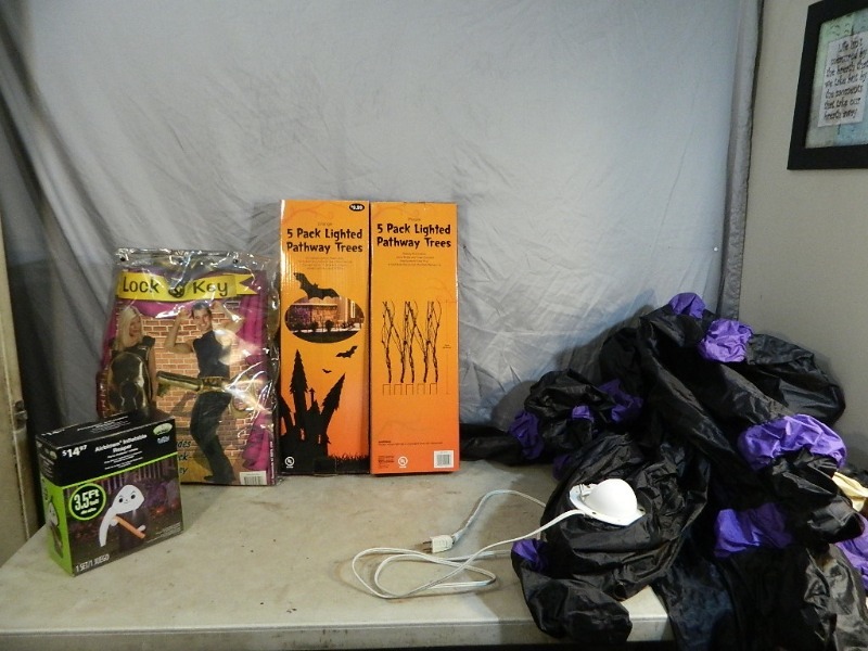 lot 104 image: Halloween Decor