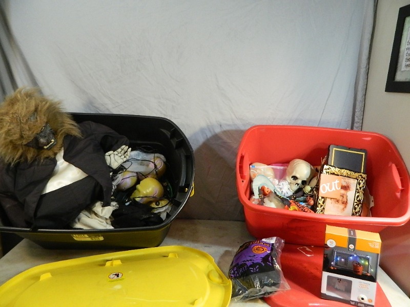 lot 118 image: Totes and Halloween Decor