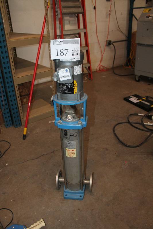 lot 187 image: Goulds e-SV Water Heater