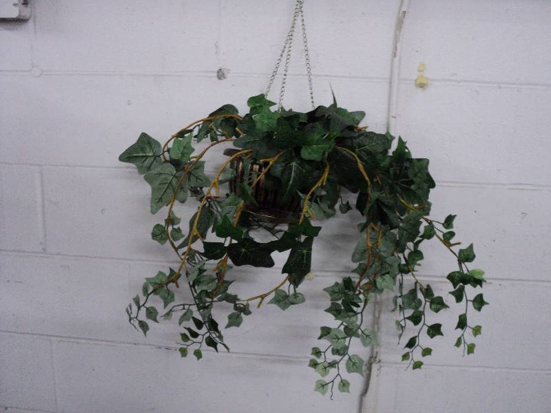 hanging artificial ivy plant...
