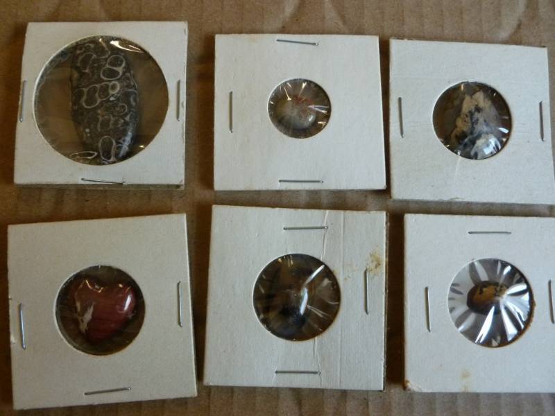 Collector Rocks