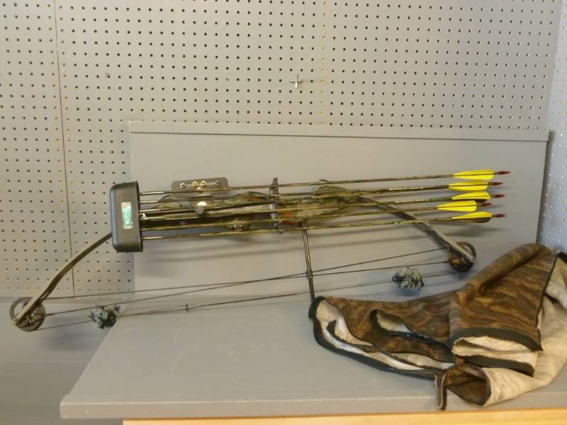 Compound Bow