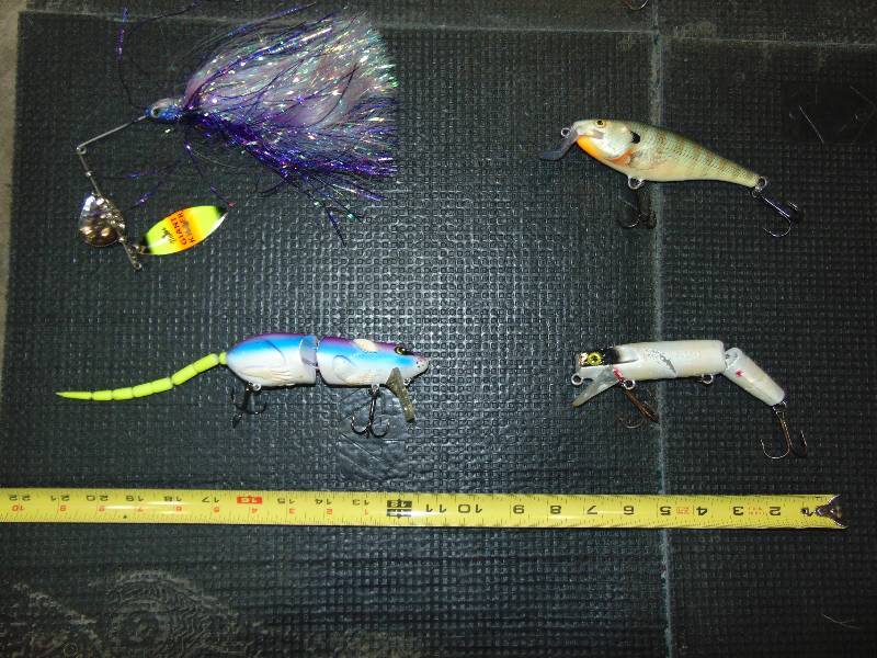 (11) Large Musky Lures