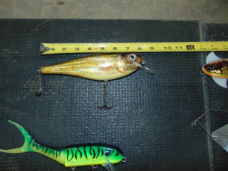 (12) Large Musky Lures