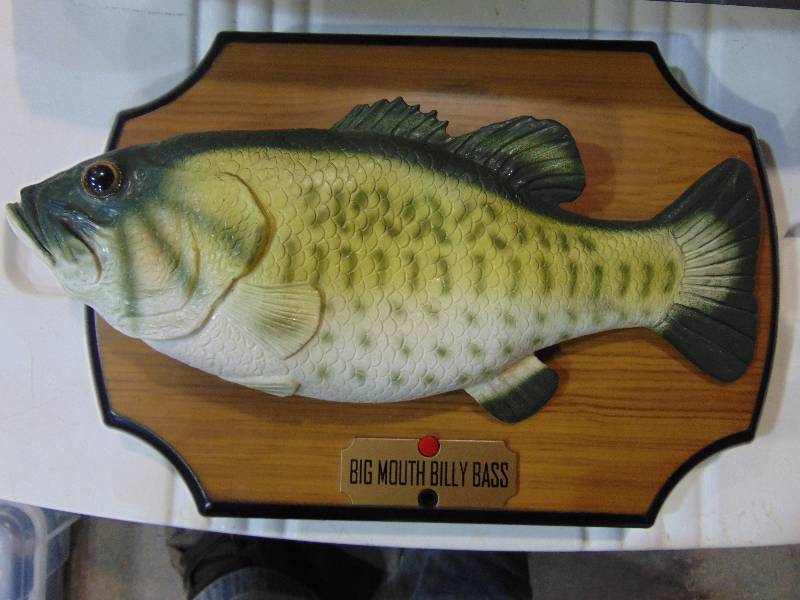 Billybass and Cool Catfish