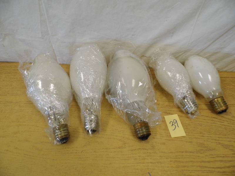 Large Light Bulbs