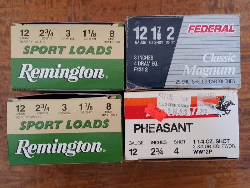 lot 7 image: (4) 12 Gauge Shotgun Shells