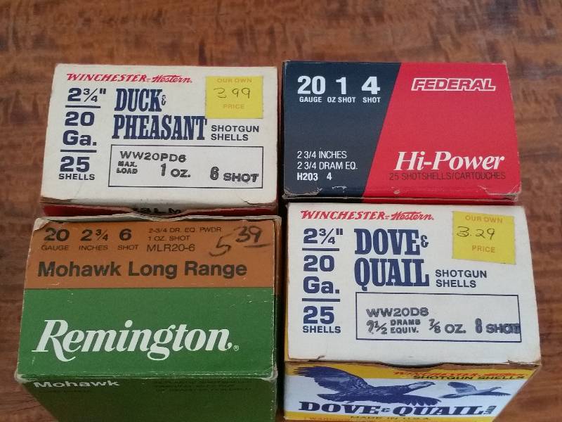 lot 9 image: (5) Boxes of 20 Gauge Shotgun Shells
