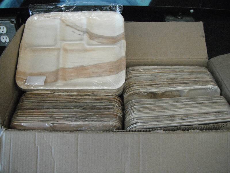 Disposable Trays
