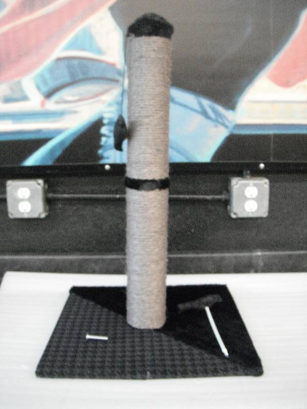 Cat Scratch Post