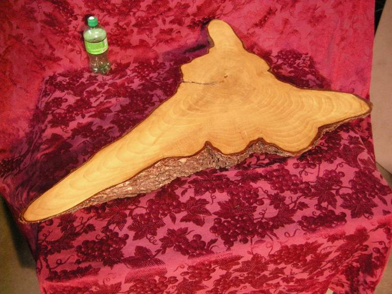 lot 12 image: Large Live Edge Wood Slab