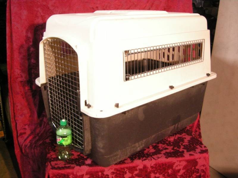 lot 10 image: Petco 700 Large Dog Kennel