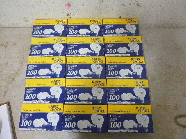 100 Watt Light Bulbs