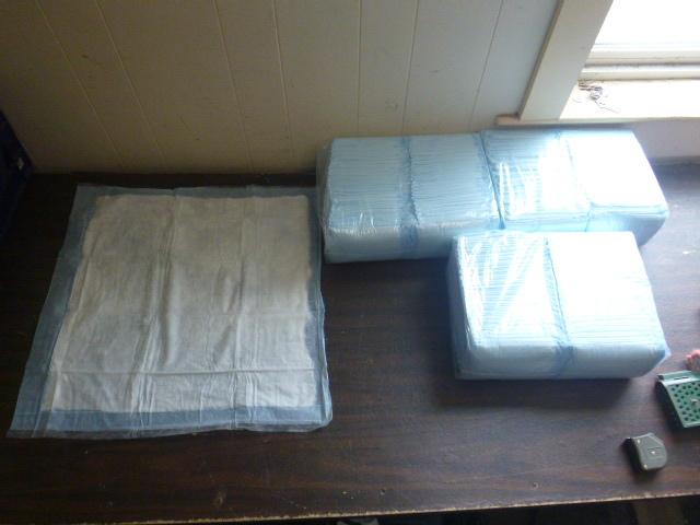 Absorbent Pads