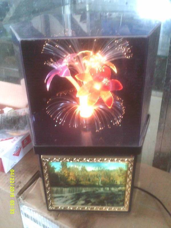 FIBER OPTIC LIGHT