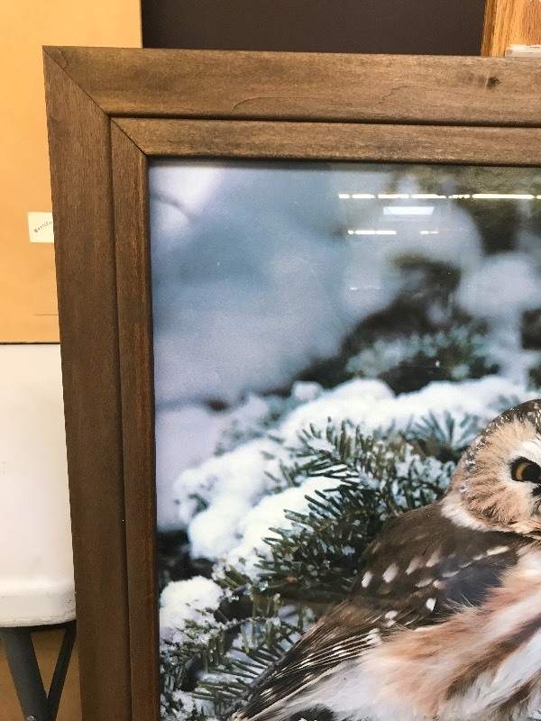 lot 234 image: OWL IN SNOW WILDLIFE FRAMED PHOTO PRINT