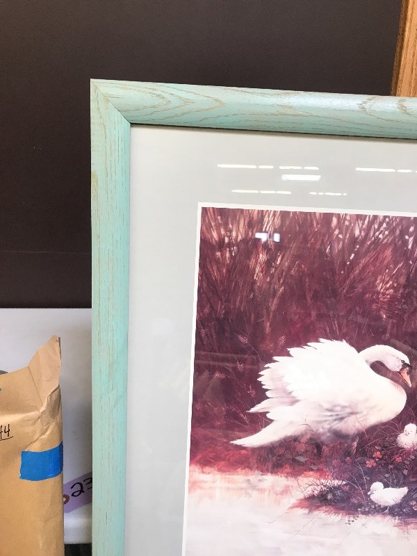 lot 236 image: SWAN SWIMMING LESSON WILDLIFE PRINT