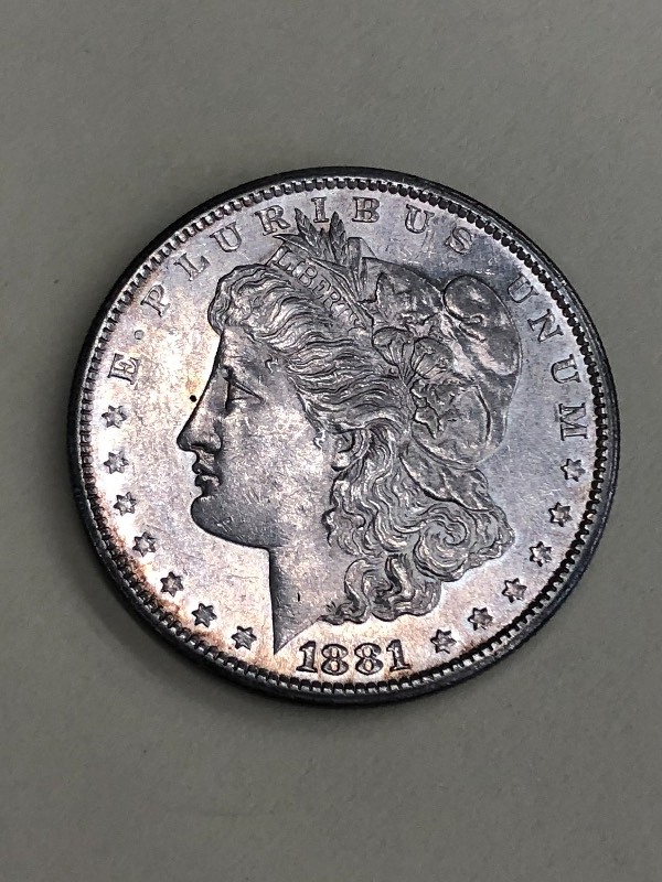 Morgan Silver Dollar