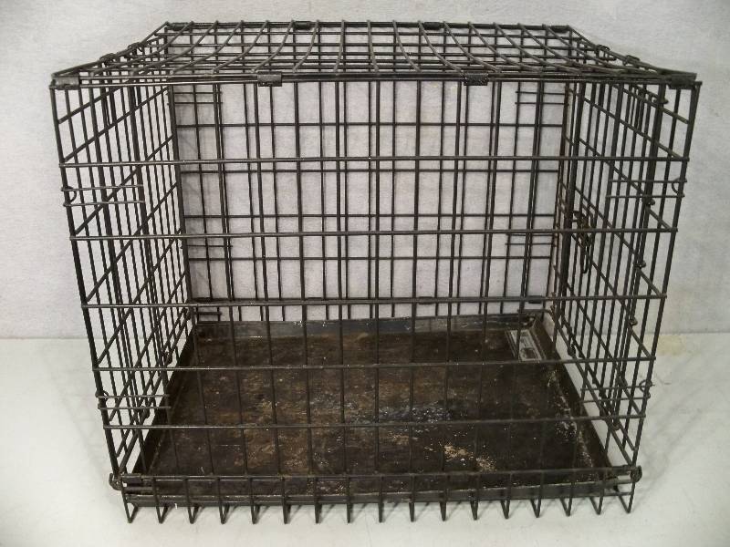 lot 89 image: Metal Pet Kennel