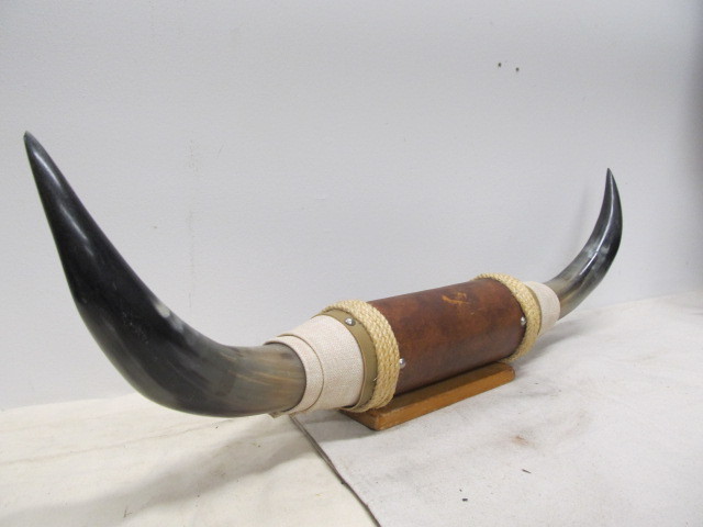 lot 146 image: Vintage Mounted Longhorn Display