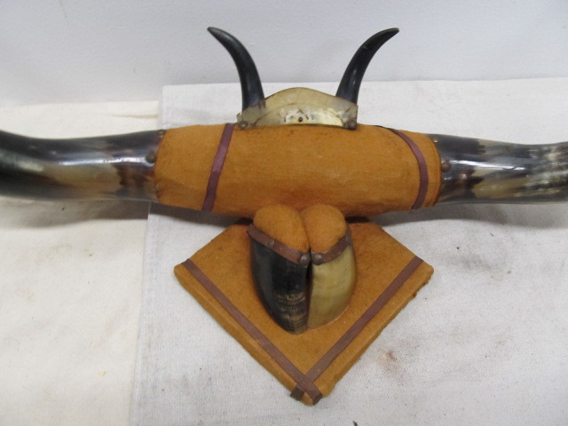 lot 148 image: Vintage Mounted Longhorn Display