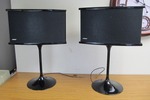 Pair of BOSE 901 Series VI Concerto Special Edition Speakers w/Stands