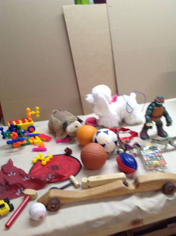 furreal friends turtle