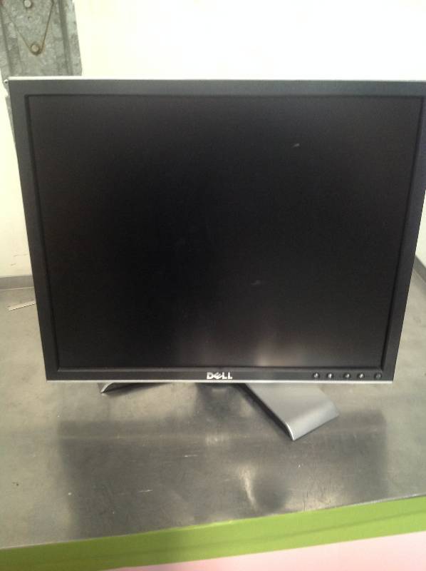 Dell Monitor - 19 Inch