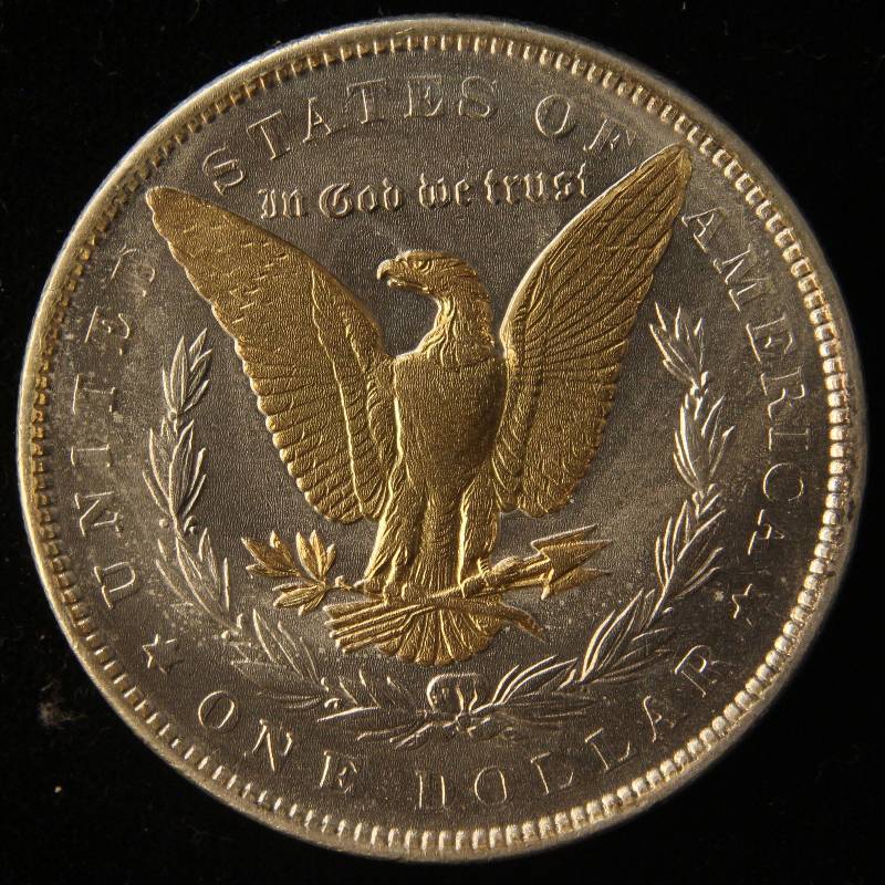 1889 MORGAN SILVER DOLLAR CLEAR ACRYLIC GOLD ENHANCED