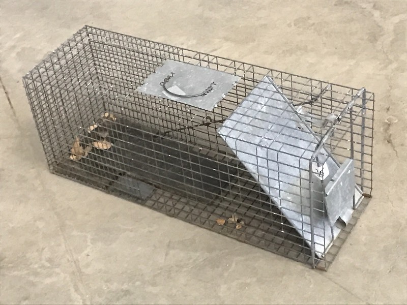 lot 35 image: Large Sized Animal Live Trap ...