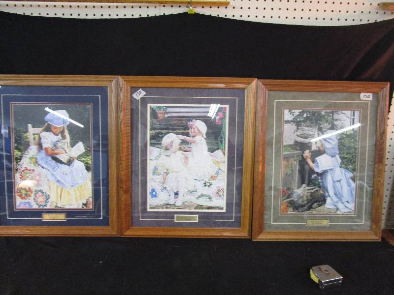 3-Pictures Matted and Framed by M. Jenkins 18 12 x 22 12 Each