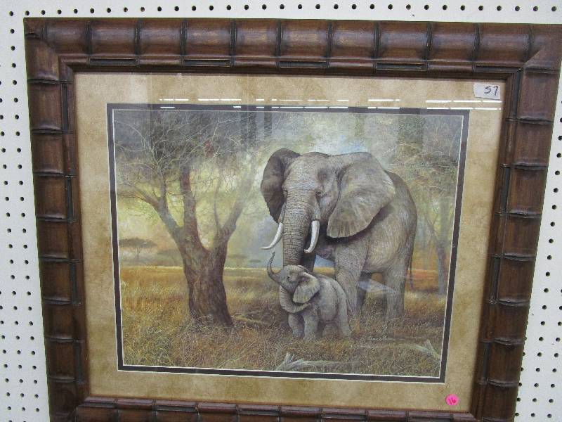 Elephant Picture 29 W x 25 H