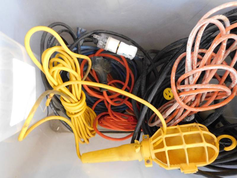lot 21 image: EXTENSION CORDS AND TROUBLE LIGHT