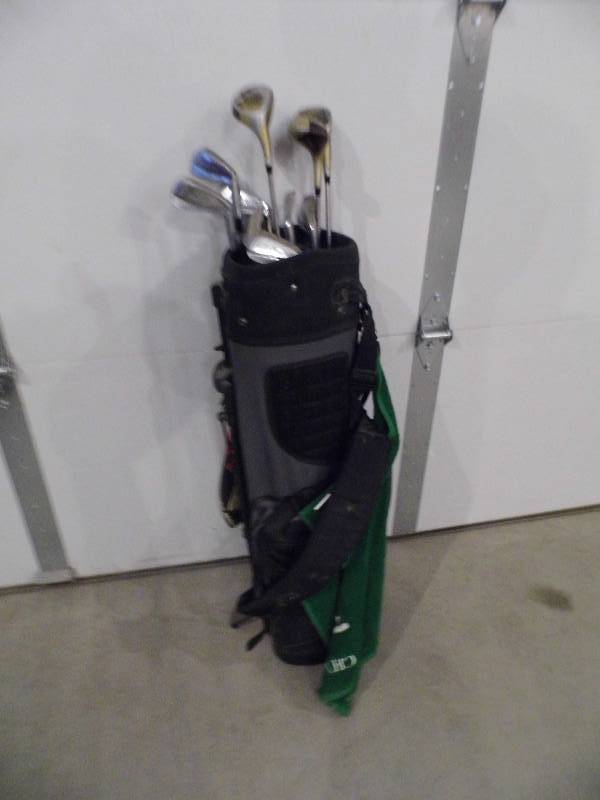 Golf Clubs w Bag