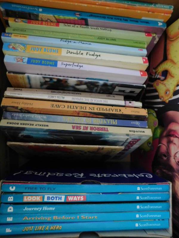 lot 28 image: Box of Kids Books