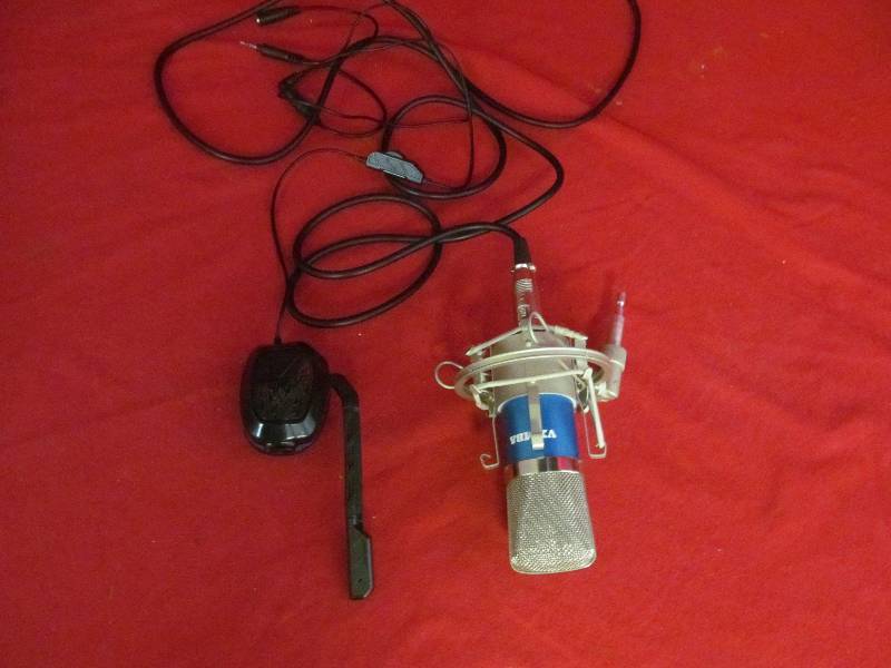Microphone
