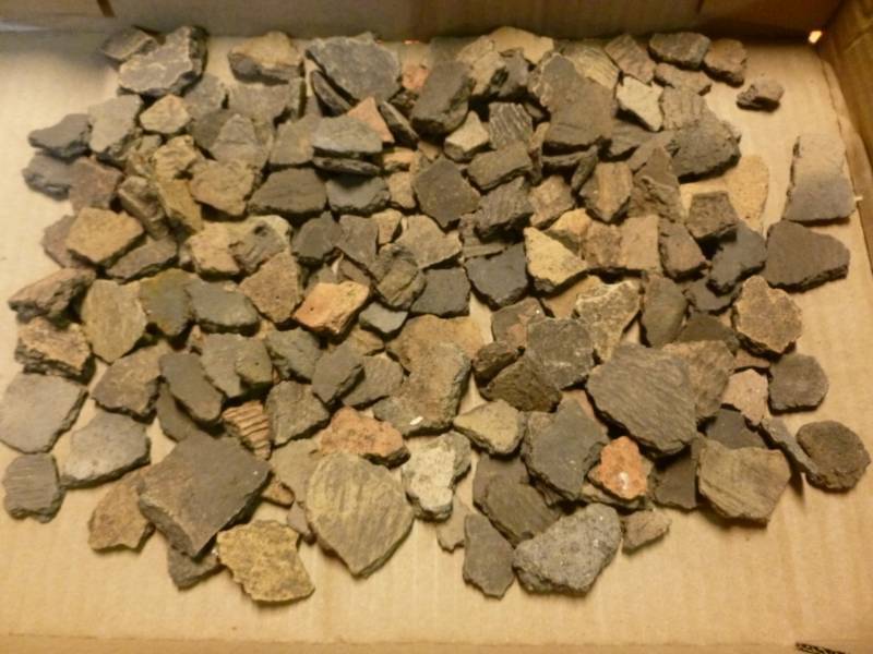 Native American Item