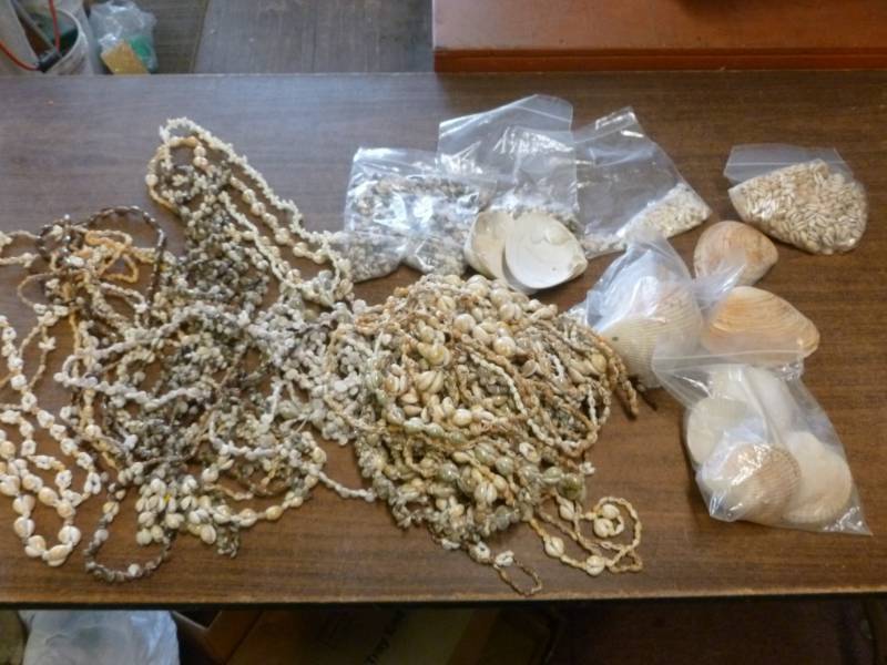 Seashell Necklaces