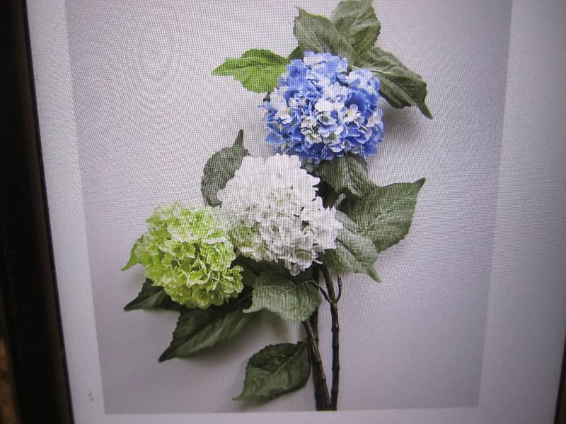 Set of 2 Hydrangea Stems in Cream C...