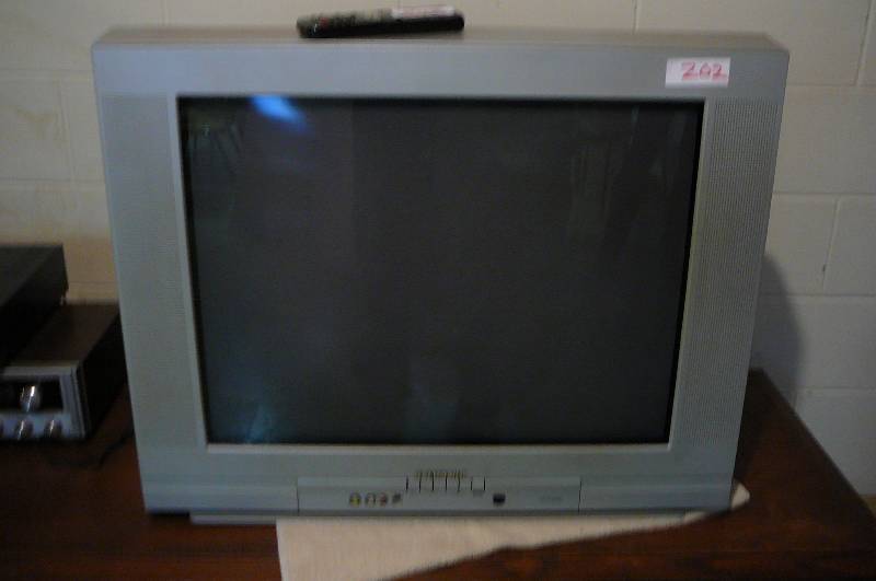 lot 202 image: Sylvania TV & Remote