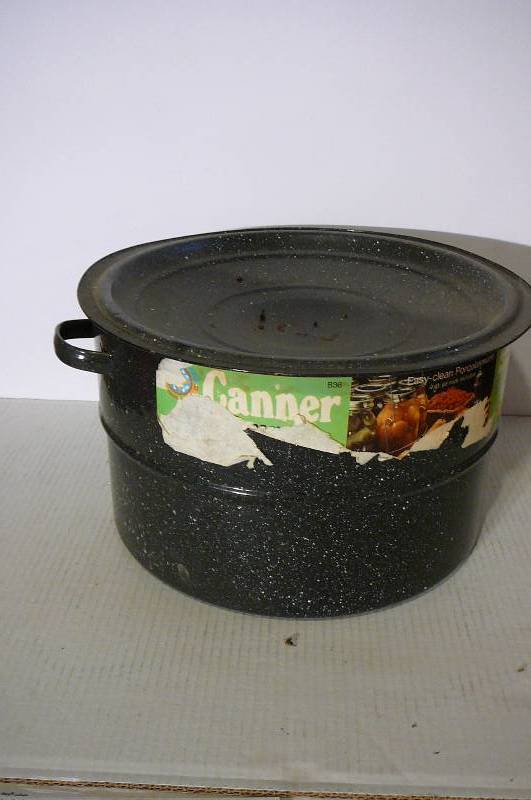 lot 342 image: 9 qt Canner & Basket