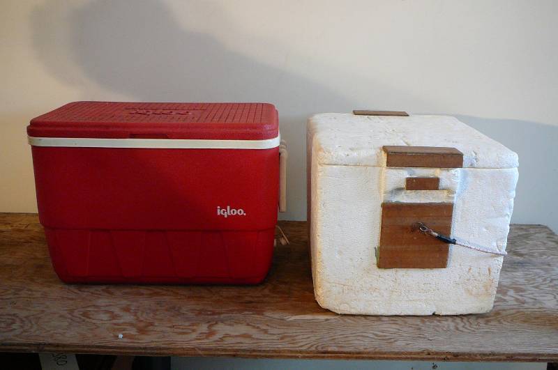 lot 382 image: Igloo 25qt Cooler, Styro Foam Box