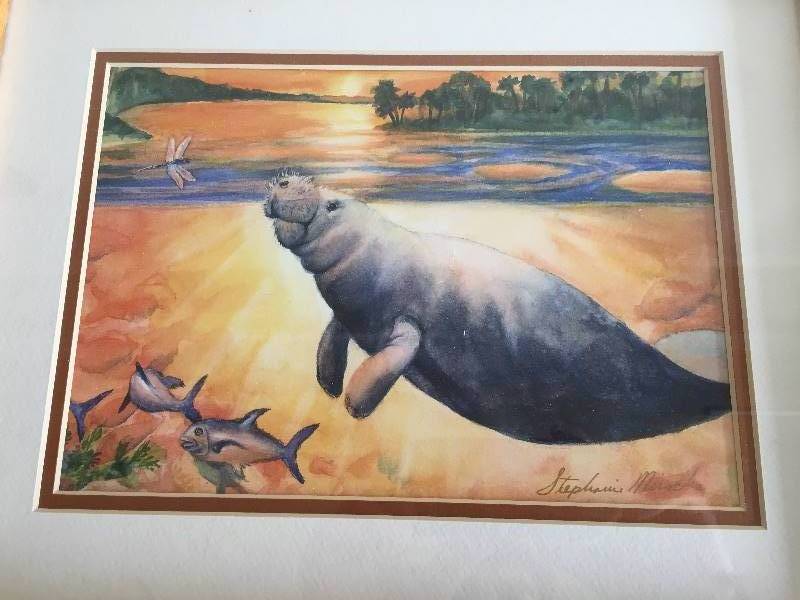 lot 34 image: Framed Sealife Print Mirocha