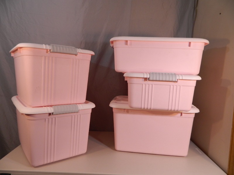 lot 145 image: 5 New Assorted Totes with Lids