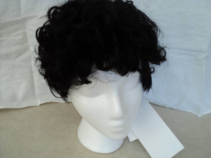 Ashro wig style Haleigh color-off b...